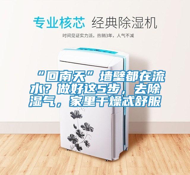 “回南天”墻壁都在流水？做好這5步，去除濕氣，家里干燥忒舒服