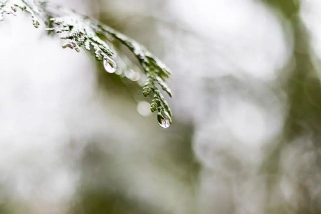 空氣濕度大帶來的危害有哪些，你知道嗎？