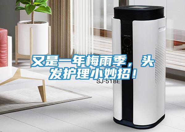 又是一年梅雨季，頭發護理小妙招！