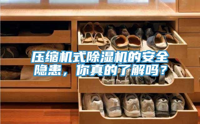 壓縮機式除濕機的安全隱患，你真的了解嗎？
