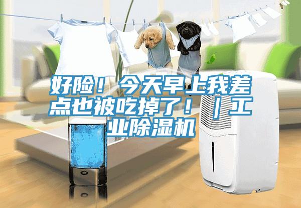 好險(xiǎn)！今天早上我差點(diǎn)也被吃掉了！｜工業(yè)除濕機(jī)