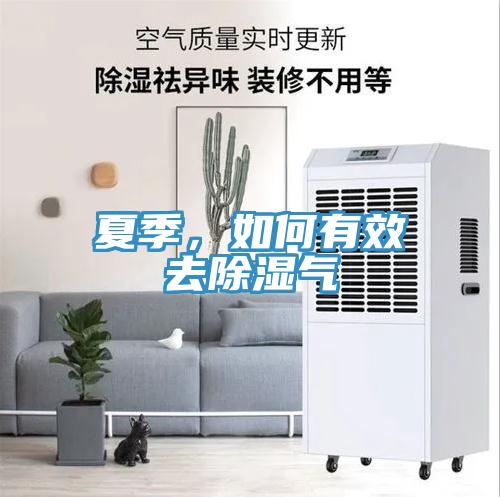 夏季,如何有效去除濕氣