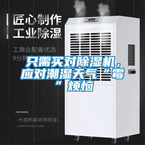 只需買對除濕機，應對潮濕天氣“霉”煩惱