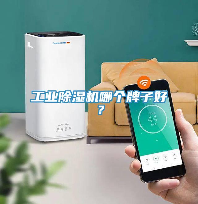 工業(yè)除濕機哪個牌子好？