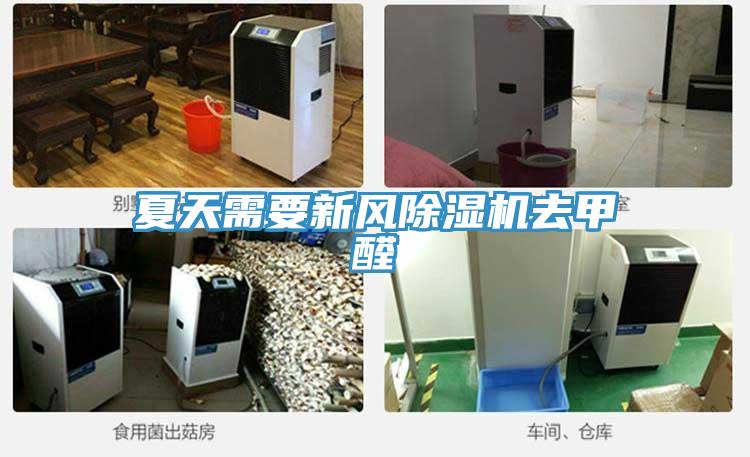 夏天需要新風除濕機去甲醛