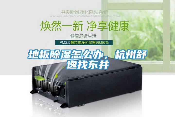 地板除濕怎么辦，杭州舒逸找東井
