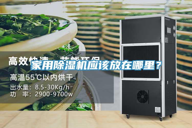家用除濕機應該放在哪里？