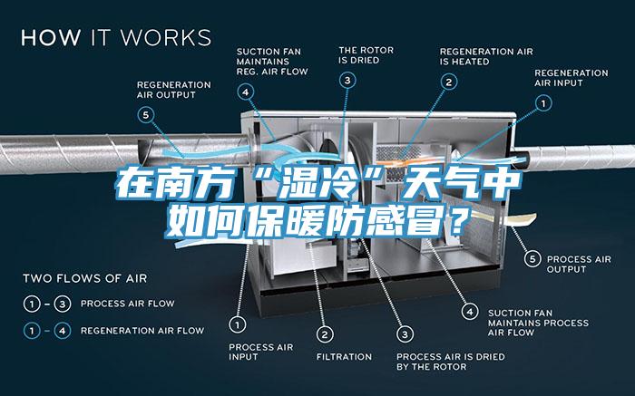 在南方“濕冷”天氣中如何保暖防感冒？