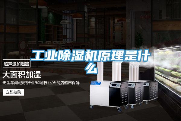 工業除濕機原理是什么