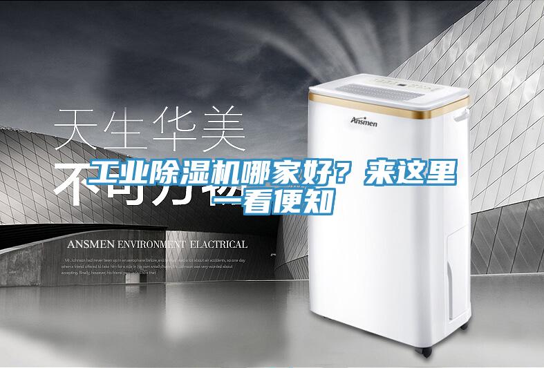 工業除濕機哪家好？來這里一看便知
