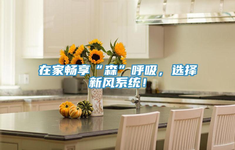 在家暢享“森”呼吸，選擇新風(fēng)系統(tǒng)！