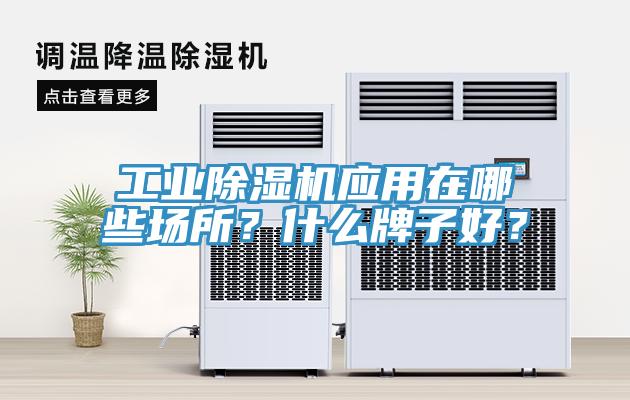 工業(yè)除濕機(jī)應(yīng)用在哪些場所？什么牌子好？