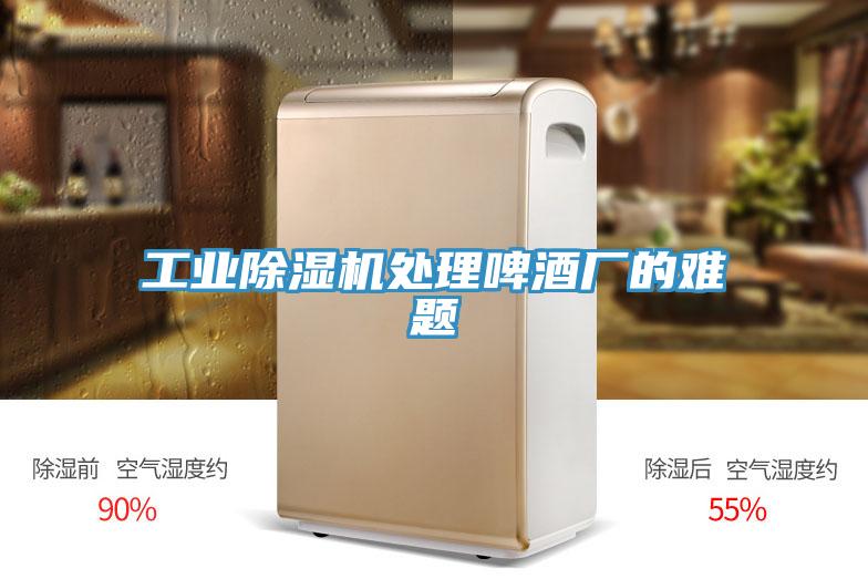工業(yè)除濕機(jī)處理啤酒廠的難題