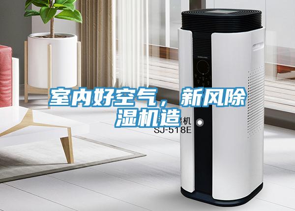 室內好空氣,新風除濕機造