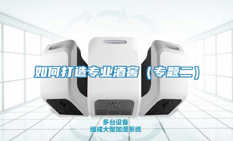如何打造專業酒窖（專題二）