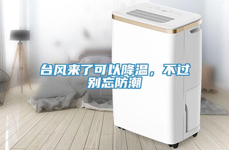 臺風來了可以降溫，不過別忘防潮
