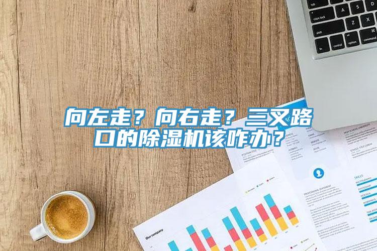 向左走？向右走？三叉路口的除濕機該咋辦？