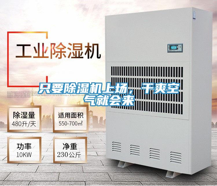 只要除濕機上場，干爽空氣就會來