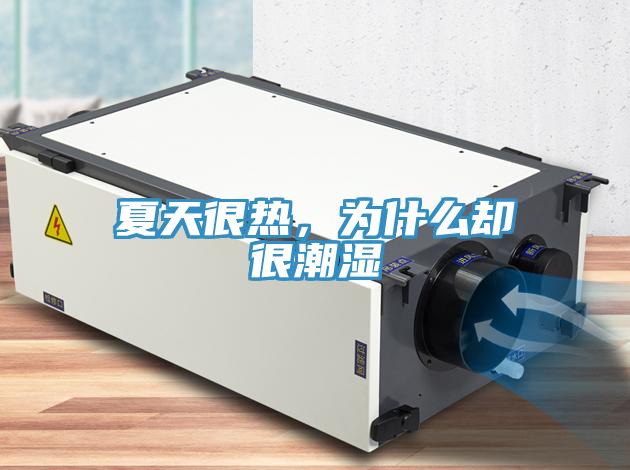 夏天很熱，為什么卻很潮濕