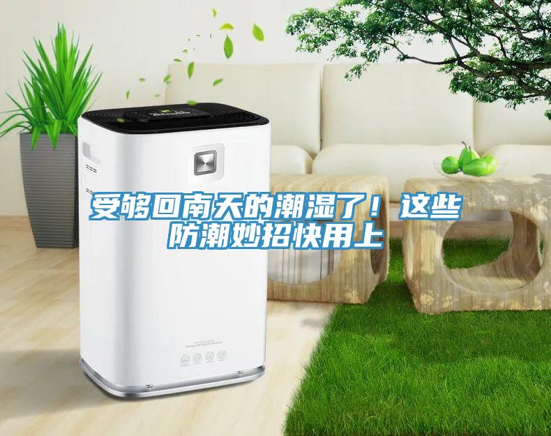 受夠回南天的潮濕了!這些防潮妙招快用上