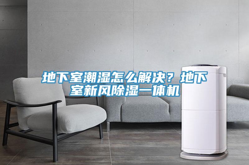 地下室潮濕怎么解決？地下室新風除濕一體機