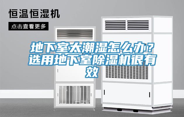 地下室太潮濕怎么辦？選用地下室除濕機很有效