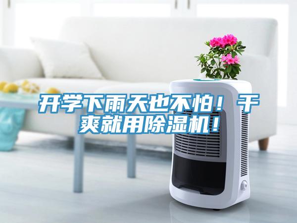 開(kāi)學(xué)下雨天也不怕！干爽就用除濕機(jī)！