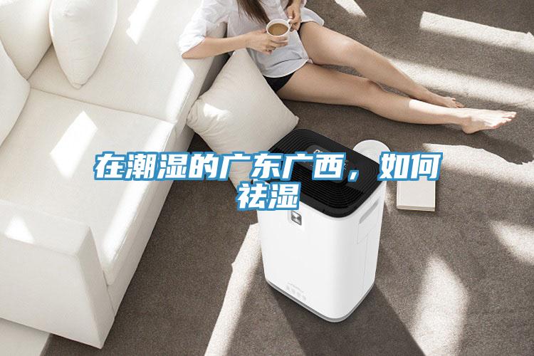 在潮濕的廣東廣西，如何祛濕
