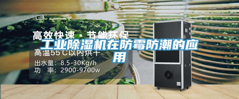 工業除濕機在防霉防潮的應用