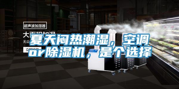夏天悶熱潮濕，空調or除濕機，是個選擇