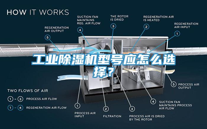 工業(yè)除濕機(jī)型號(hào)應(yīng)怎么選擇？