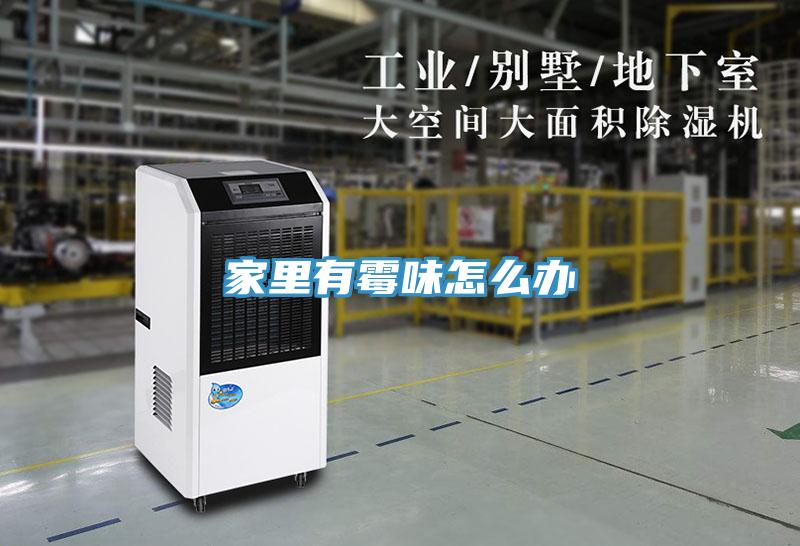 家里有霉味怎么辦