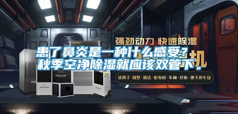 患了鼻炎是一種什么感受？ 秋季空凈除濕就應該雙管下。