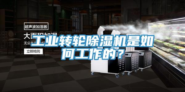 工業轉輪除濕機是如何工作的?