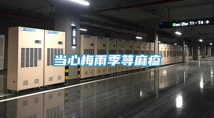 當心梅雨季蕁麻疹