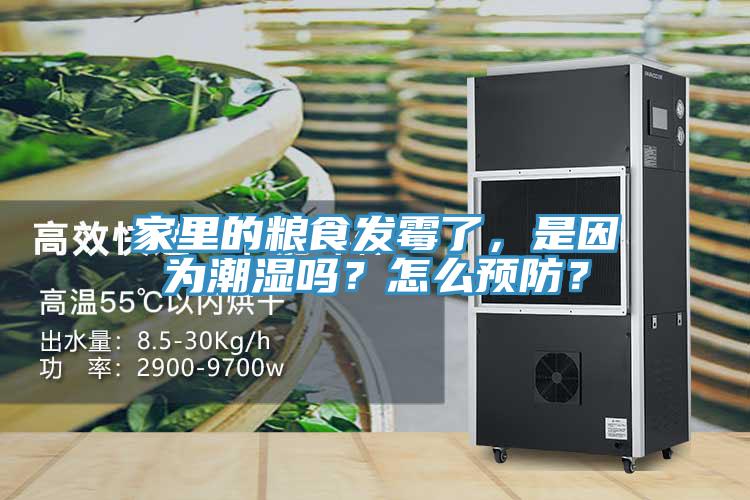 家里的糧食發(fā)霉了，是因?yàn)槌睗駟幔吭趺搭A(yù)防？