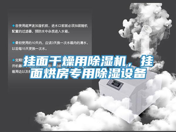 掛面干燥用除濕機(jī),掛面烘房專(zhuān)用除濕設(shè)備