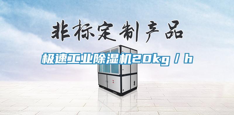 極速工業(yè)除濕機20kg/h