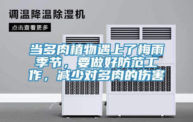 當多肉植物遇上了梅雨季節，要做好防范工作，減少對多肉的傷害