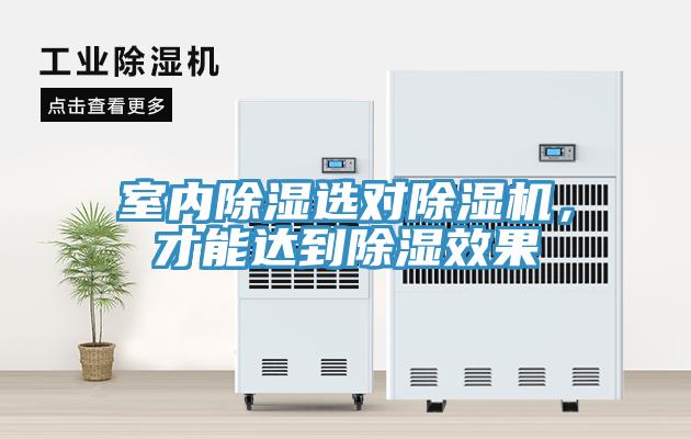 室內(nèi)除濕選對除濕機，才能達到除濕效果