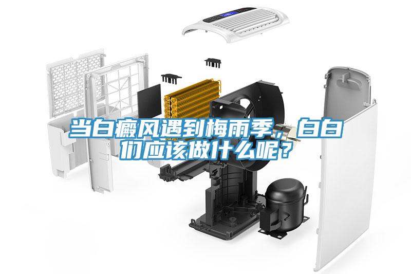 當白癜風遇到梅雨季，白白們應該做什么呢？