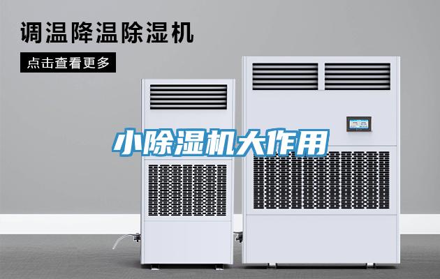 小除濕機(jī)大作用