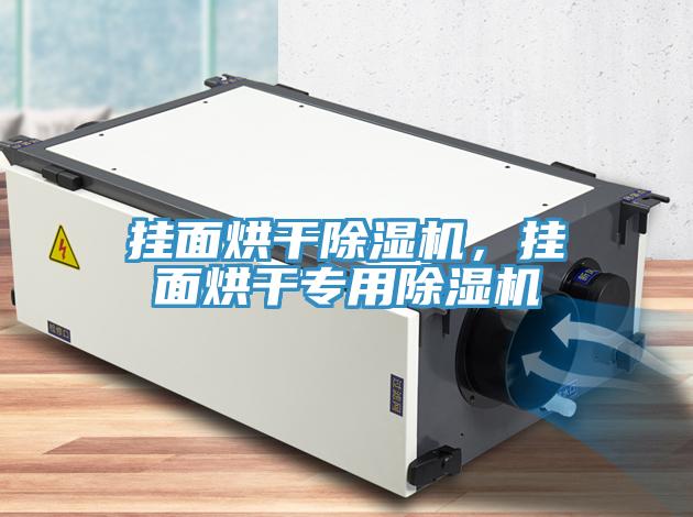 掛面烘干除濕機(jī),掛面烘干專(zhuān)用除濕機(jī)
