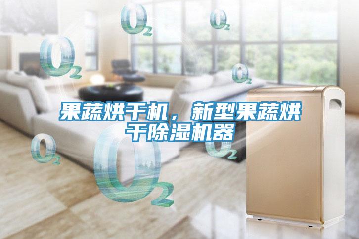 果蔬烘干機，新型果蔬烘干除濕機器