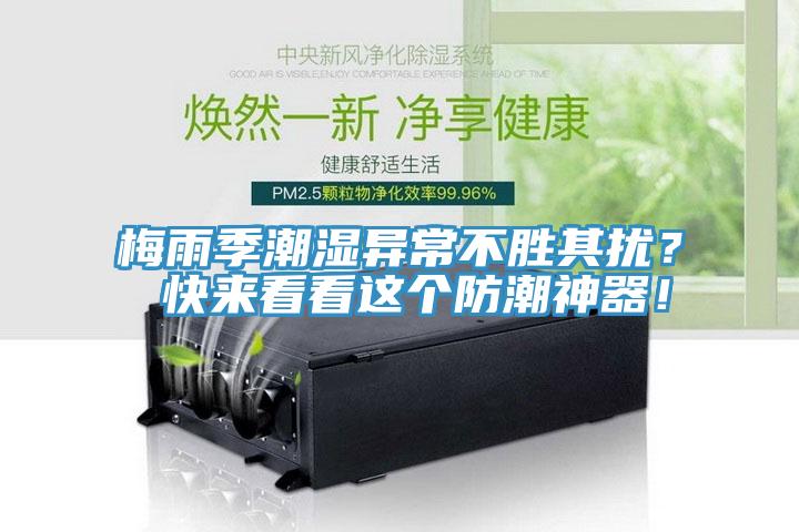 梅雨季潮濕異常不勝其擾? 快來看看這個防潮神器!