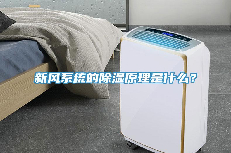 新風系統(tǒng)的除濕原理是什么？
