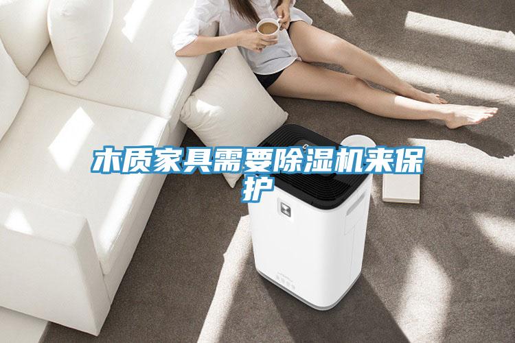 木質家具需要除濕機來保護