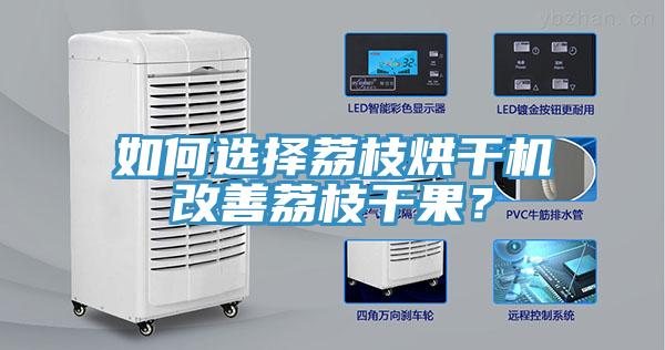 如何選擇荔枝烘干機改善荔枝干果?