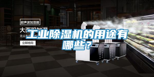 工業(yè)除濕機的用途有哪些?