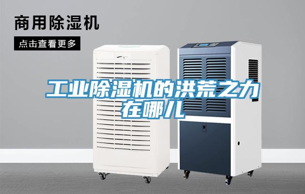 工業除濕機的洪荒之力在哪兒